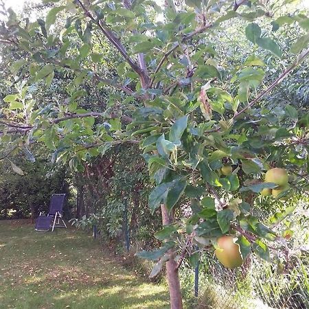 Huis Bij De Catalpa Dordrecht Zewnętrze zdjęcie